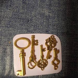 5 pc. Skeleton key charms